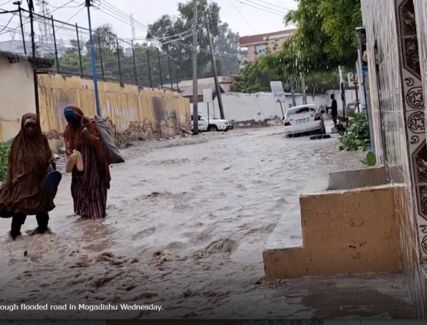 Roobab xooggan oo ka da’ay Muqdisho sameyna ku yeeshay isku socodka caasimada