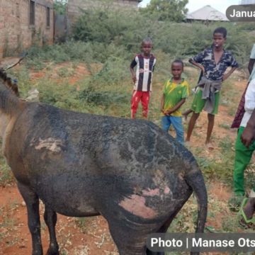 Kenya oo xadka Beledxaawo & Mandheera soo dhigtay ciidamo dheeraad ah.