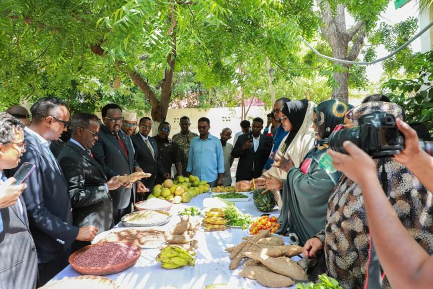 Soomaaliya oo laga daah furay mashruuca biyo xireenka Sabuun