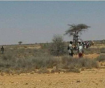 Saddex ruux oo aano qabiil loogu dilay Galmudug iyo xiisad ka dhalatay