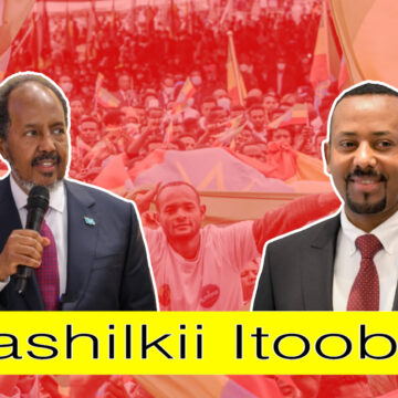 Warka Fashilka shirkii DFS & Itoobiya– Maxase u danbeeyay Wada-hadalladii lagula jiray AS ?.