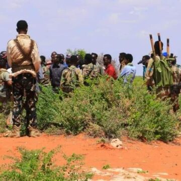 Somalia:Ongoing Violence Over Land Dispute Sparks Crisis in Galgaduud Region