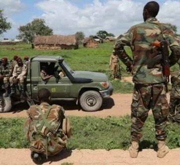 SNA Troops Take Back Key Areas from Al-Shabaab in Gedo