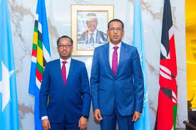 Somali Embassy in Kenya Accused of Suppressing Opposition