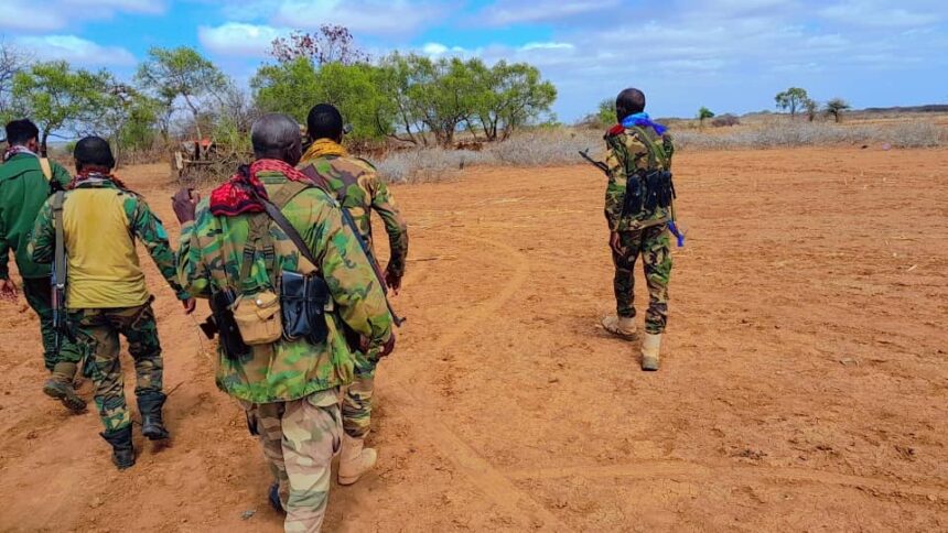 Somali Army Launches Major Offensive to Liberate Key Regions from Al-Shabaab Control