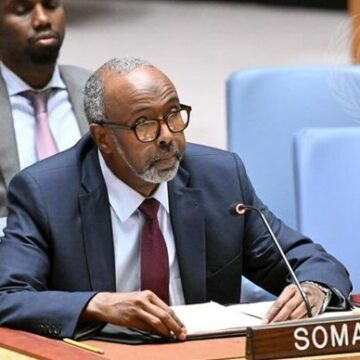 UN Somali Envoy Warns Against Threats to National Unity