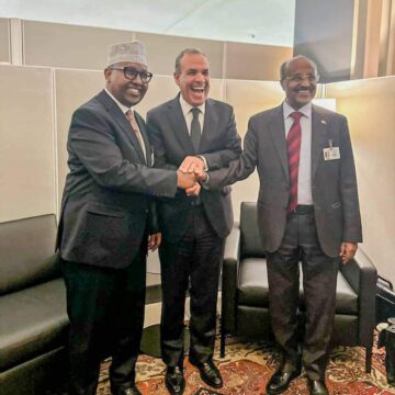 Somali Foreign Minister Engages in Key Security Discussions with Egypt and Eritrea