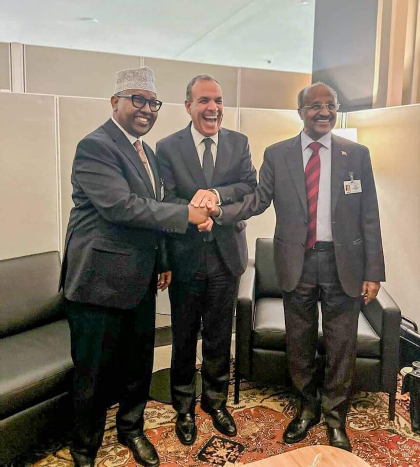 Somali Foreign Minister Engages in Key Security Discussions with Egypt and Eritrea