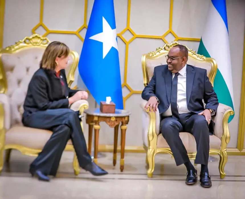 Madaxweyne Siciid Deni oo kulan gaar ah laqaatay safiirka Midowga Yurub ee Somalia Mrs Karin.