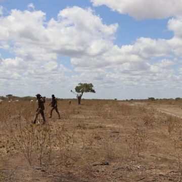 Ciidamada Jubbaland oo fariisimo cusub ka sameystay deegaano ka tirsan gobolka Jubbada Hoose xilli ay sii kordhayaan howlgallada.