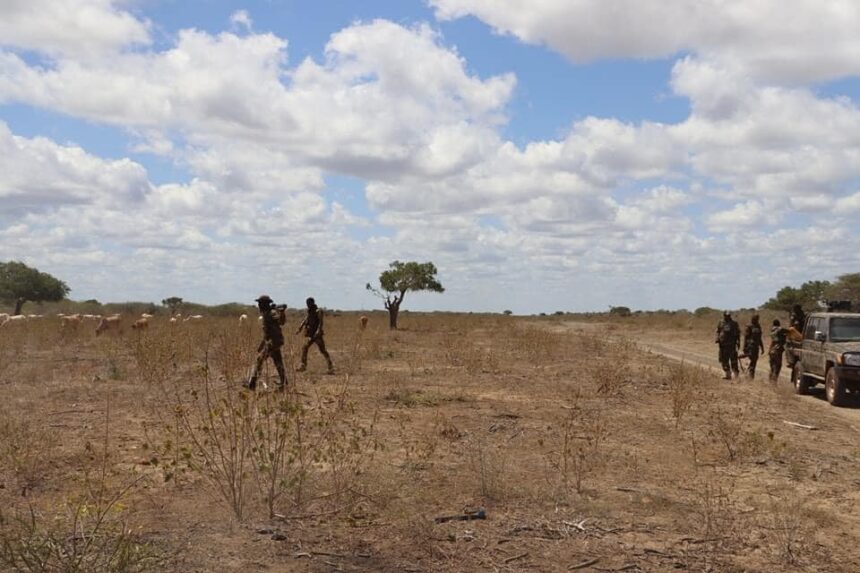 Ciidamada Jubbaland oo fariisimo cusub ka sameystay deegaano ka tirsan gobolka Jubbada Hoose xilli ay sii kordhayaan howlgallada.