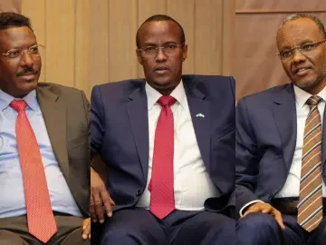 Xasan Sheekh oo muddo kororsi siiyay Galmudug, Hirshabeelle iyo Koonfur Galbeed.