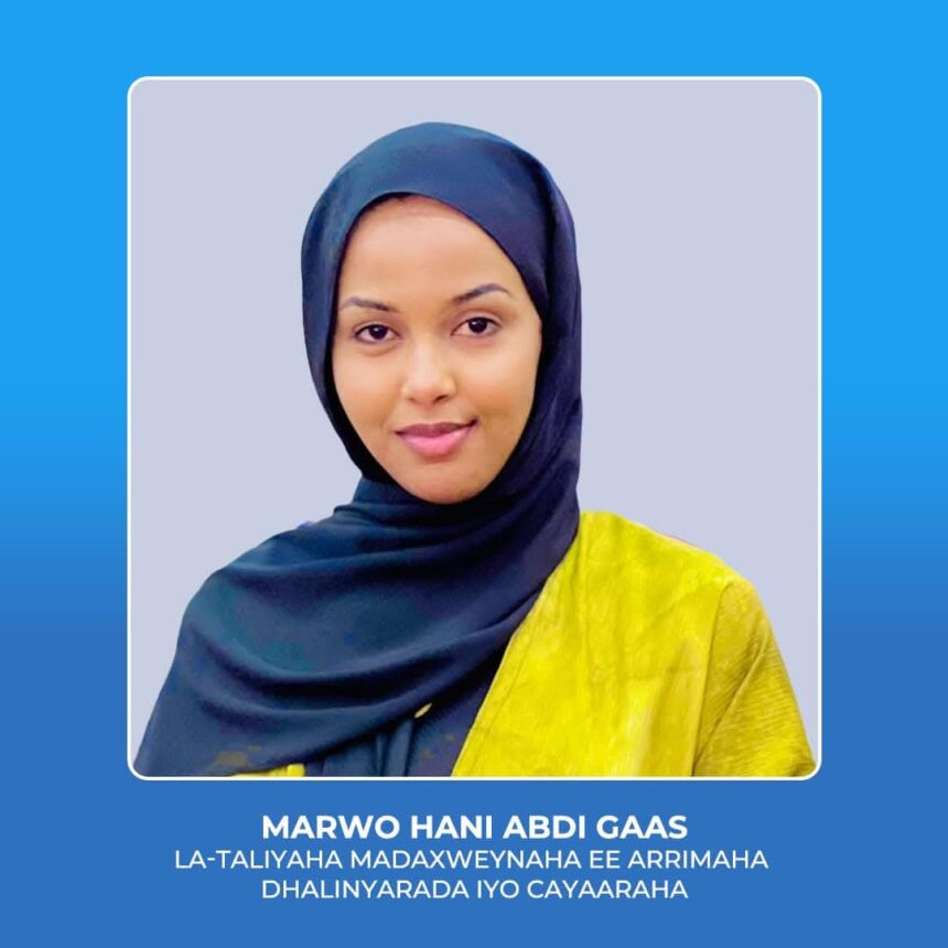 MOGADISHU, Somalia — Somali President Names Hani Abdi Gas as Youth and Sports Advisor