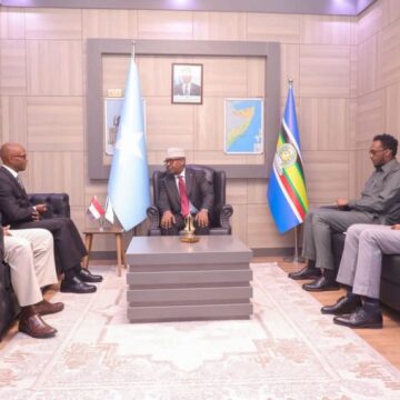 Somalia and Sudan Discuss Strengthening Ties Amid Regional Challenges