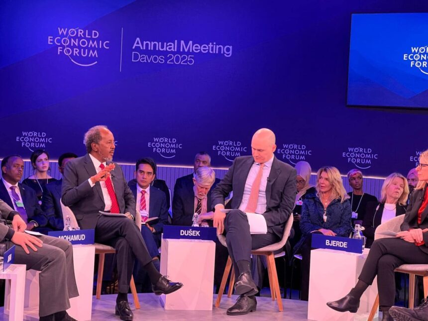 Somali President Attends World Economic Forum, Receives Leadership Award