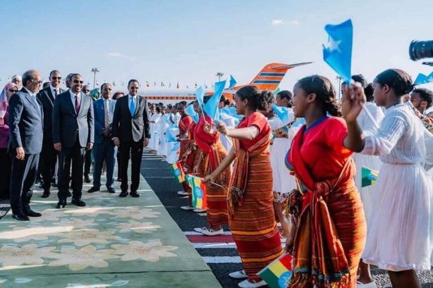 Somali President Receives Warm Welcome in Addis Ababa During Official Visit