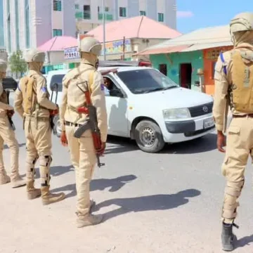 Ciidamada amaanka Puntland oo bilaabay raaf lagu soo qaqabanaayo dadka ajaaniibta ah