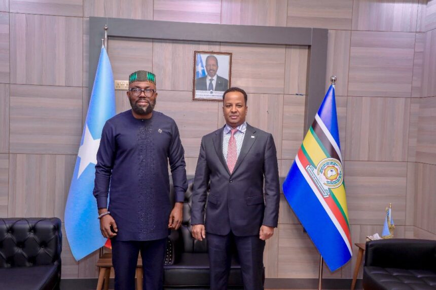 Safiirrada dalalka Ghana iyo Itoobiya oo laga guddoomay nuqul kamid ah warqadaha danjirannimo