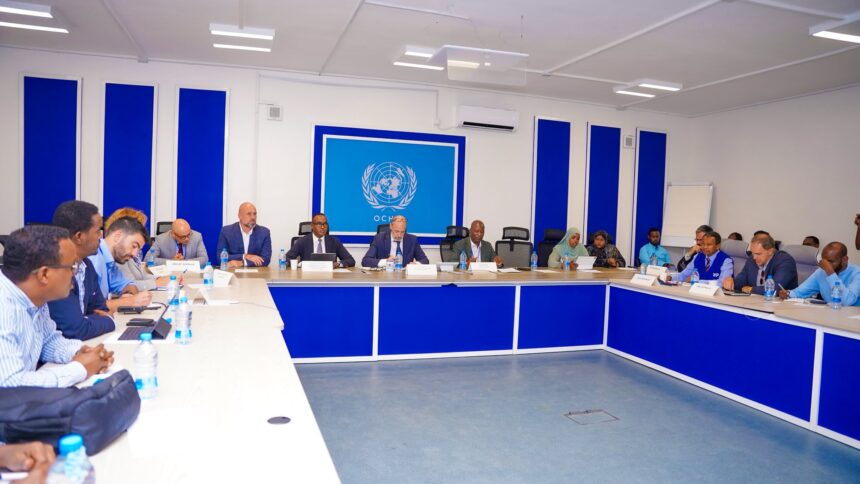 Muxuu kala hadlay guddoomiyaha hay’adda Sodma wakiilo ka socday Qaramada Midoobay ?