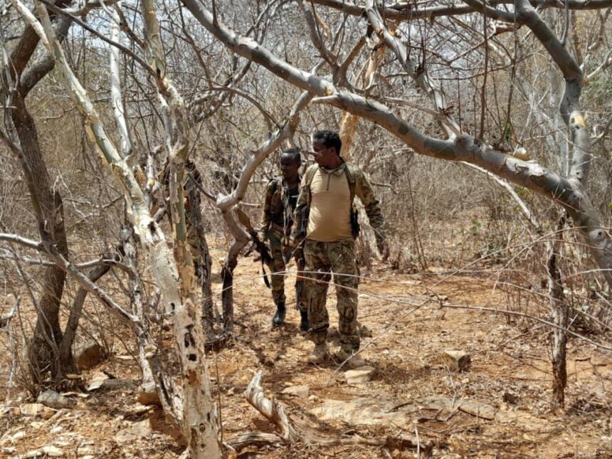 SNA Troops Dismantle al-Shabaab Bases in South West State