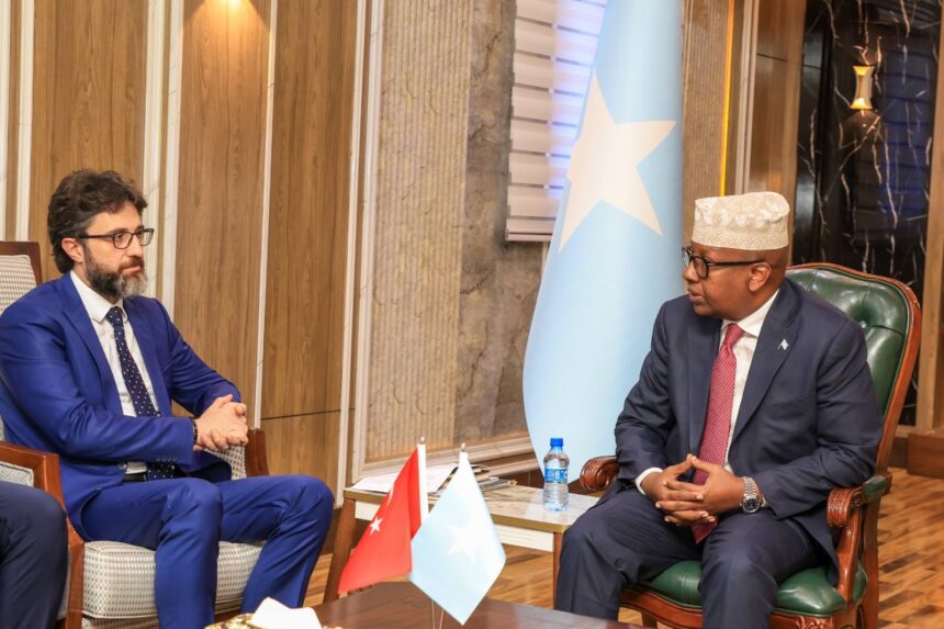 Onalar bilan kattalar porno