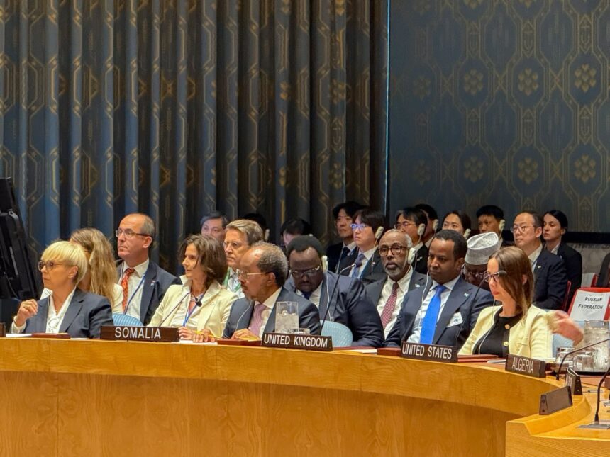 Muxuu kaga hadlay Madaxweyne Xasan Sheekh khudbada uu ka jeediyay kulanka golaha ammaanka ee Qaramada Midoobay ?