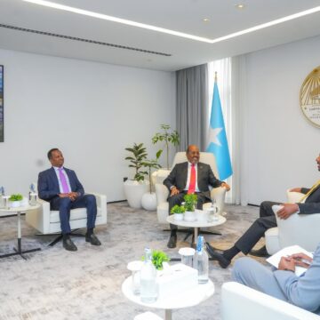 Somali President and Ethiopian PM Discuss Security in Addis