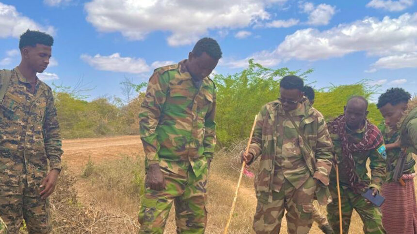WhatsApp Audio 2025-09-01 at 21.17.05.00_08_24_12.Still001 Somali Army Clears Al-Shabaab Mines in Lower Shabelle