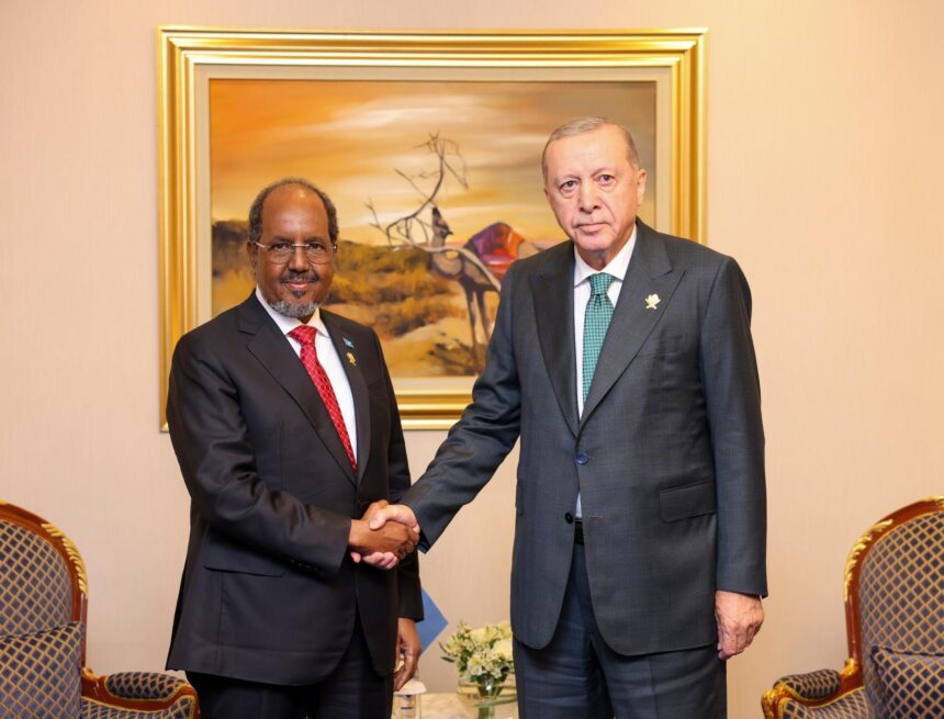 xasan iyo erdogan Maxey tahay halka arrin uu madaxweyne Xasan Sheekh ku difaacay Turkiga ?