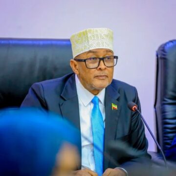 22222 Somaliland Confirms Impact of Somalia’s E-Visa System on Travellers