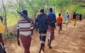 macaawisleey Ciidanka macawiisley oo weerar khasaaro geystay ku qaaday deegaanka Gaabo