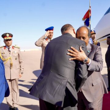 Somali President to Attend Grand Egyptian Museum Opening in Cairo