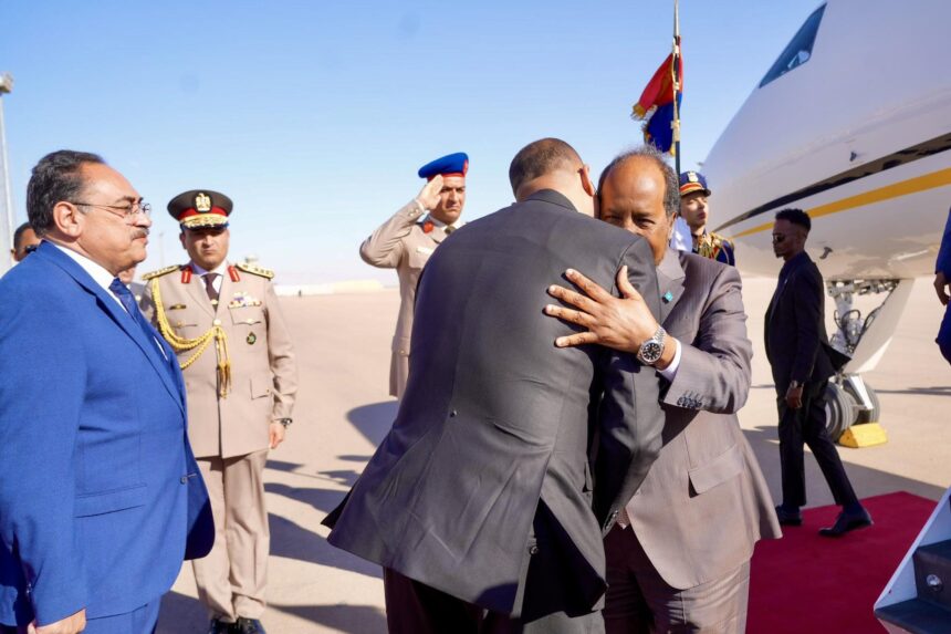 22222222222 Somali President to Attend Grand Egyptian Museum Opening in Cairo