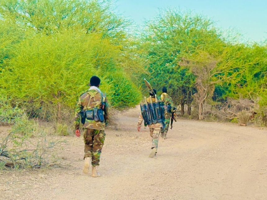 584321918_1246707354148358_8322996444181293038_n Ciidanka xoogga oo howlgal ku dilay xubno katirsan kooxda AS