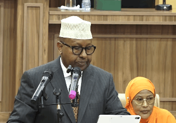 Somali Defence Minister: 800 Al-Shabaab and ISIS Fighters Killed in One Year