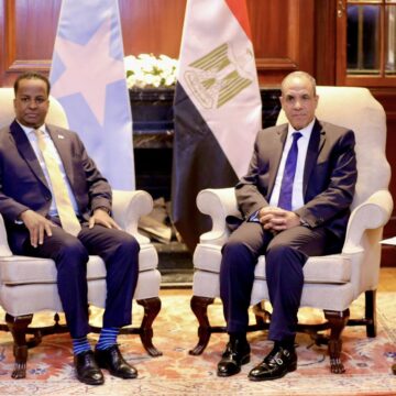 Somalia and Egypt Hold High-Level Talks on Bilateral Cooperation in Cairo