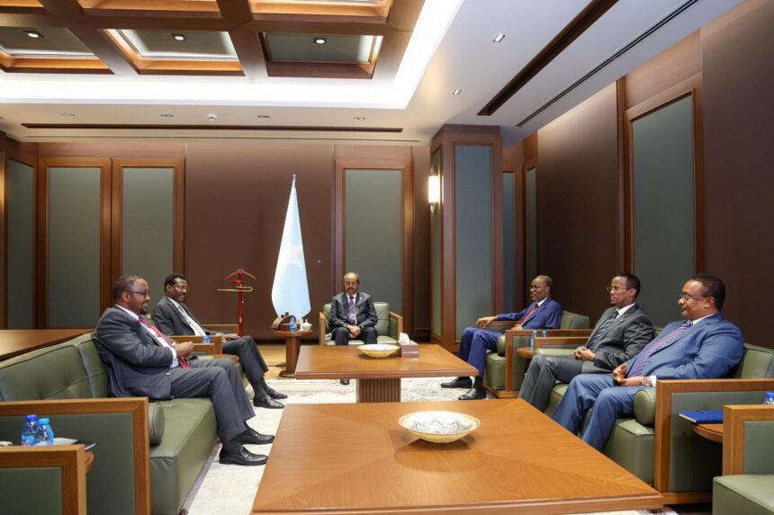 Somali President Briefs States on Response to Alleged Israeli Move