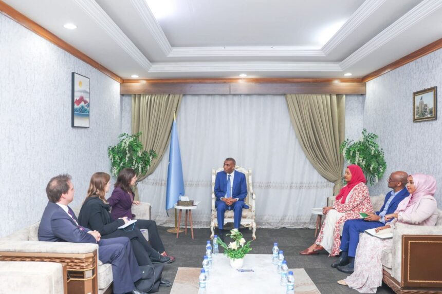 Somali PM Hamza Abdi Barre Meets UK Human Rights Envoy in Mogadishu
