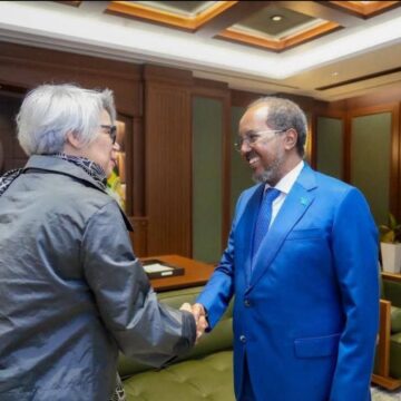EU Special Envoy in Mogadishu Holds Talks with Somali President Amid Political Standoff