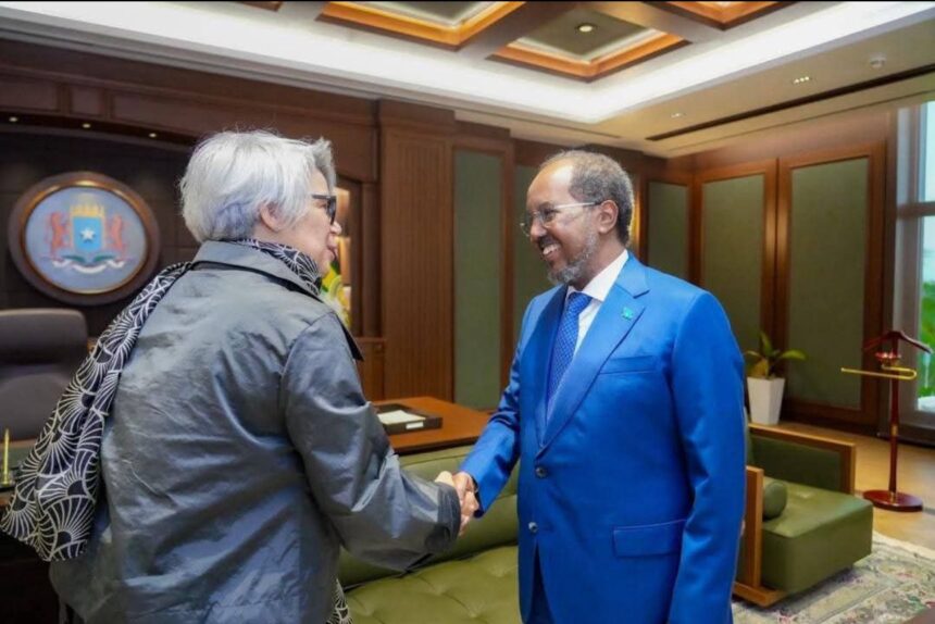 EU Special Envoy in Mogadishu Holds Talks with Somali President Amid Political Standoff