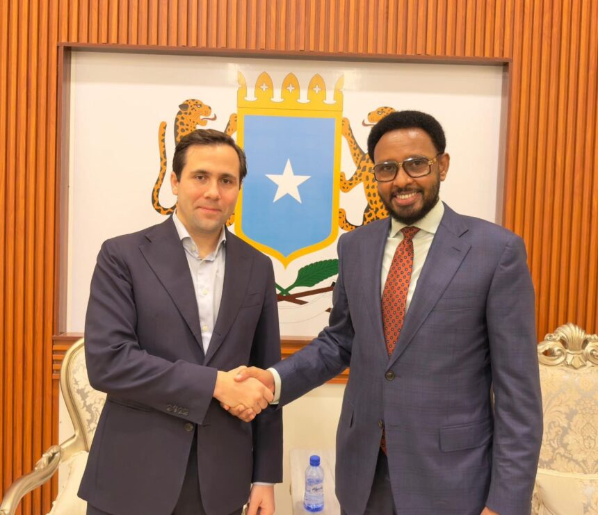 Sweden Eyes Investment in Somalia
