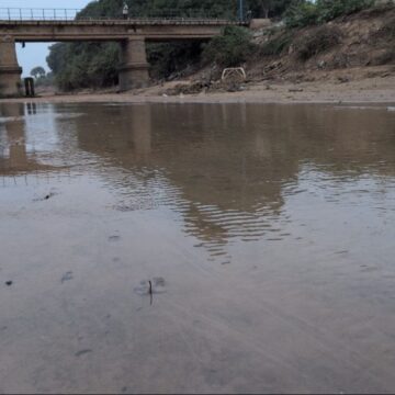 Somalia’s longest river hits all-time low, threatening agriculture and livestock livelihoods