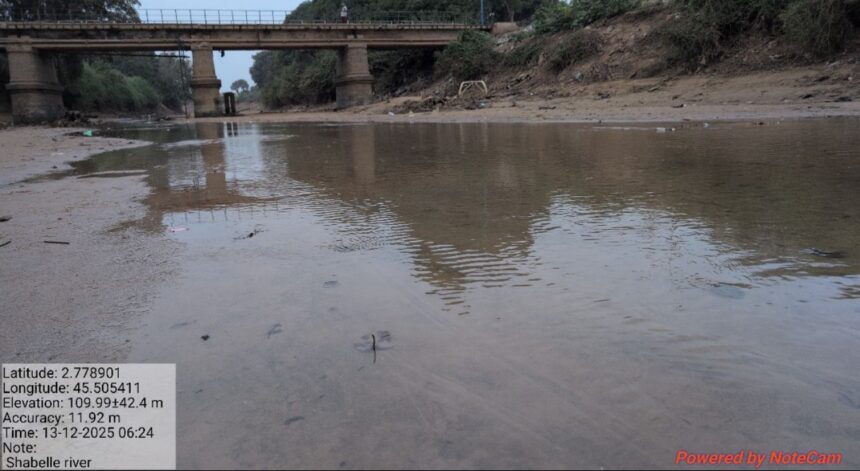 Somalia’s longest river hits all-time low, threatening agriculture and livestock livelihoods