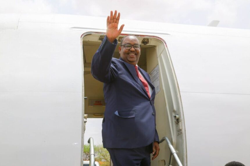 denii Maxey tahay sababta uu madaxweyne Deni ugu amba baxay dalka Imaaraatka ?