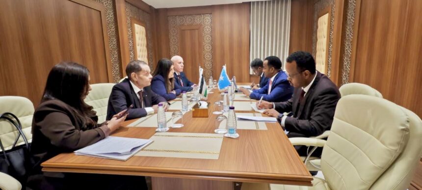 Somalia and Palestine Reject Israel’s Somaliland Recognition Claim