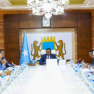 Somalia annuls all security and defence agreements with the United Arab Emirates