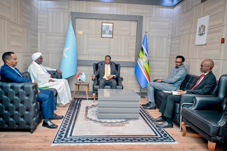 Somalia and Sudan Hold Talks on Red Sea and Bab al-Mandab Security