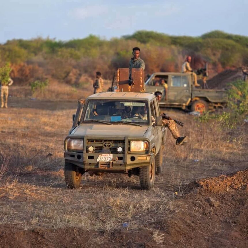 In ka badan 200 oo dagaalame oo katirsan kooxda AS oo lagu dilay Kudhaa
