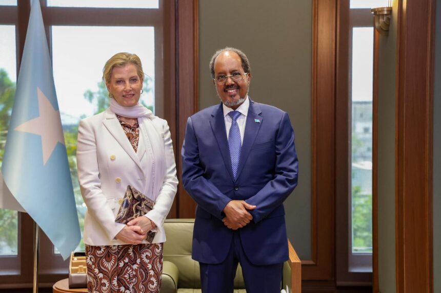 641428217_1384761353695000_3388563420637363040_n Madaxweyne Xasan Sheekh oo qaabilay xubno sare oo ka socday boqortooyada Ingiriiska