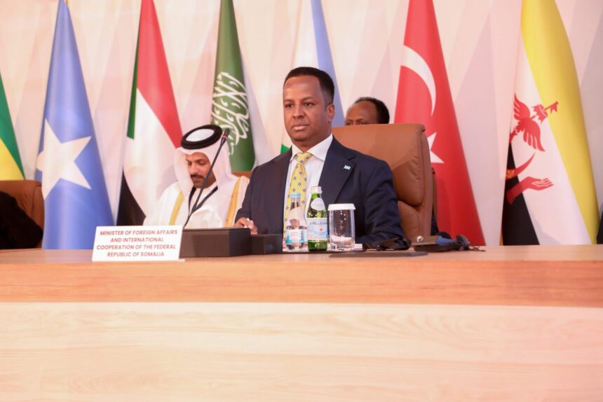 Somalia to Participate in Arab League Meeting on the Situation in the Middle East Today